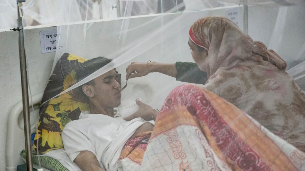 ডেঙ্গুর মতো অনেক রোগে জ্বরের মতো উপসর্গ দেখা দিলে দ্রুত চিকিৎসকের পরামর্শ নেয়া উচিত ডেঙ্গুর মতো অনেক রোগে জ্বরের মতো উপসর্গ দেখা দিলে দ্রুত চিকিৎসকের পরামর্শ নেয়া উচিত