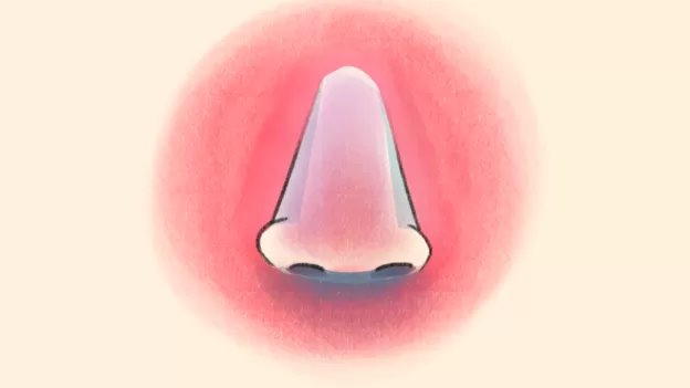 সর্দিজ্বর পৃথিবীর সবচেয়ে বেশি হওয়া রোগগুলোর একটি। সর্দিজ্বর পৃথিবীর সবচেয়ে বেশি হওয়া রোগগুলোর একটি।