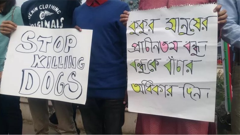 পশুপ্রেমীদের অনেকে কুকুর স্থানান্তরের বিরোধী।