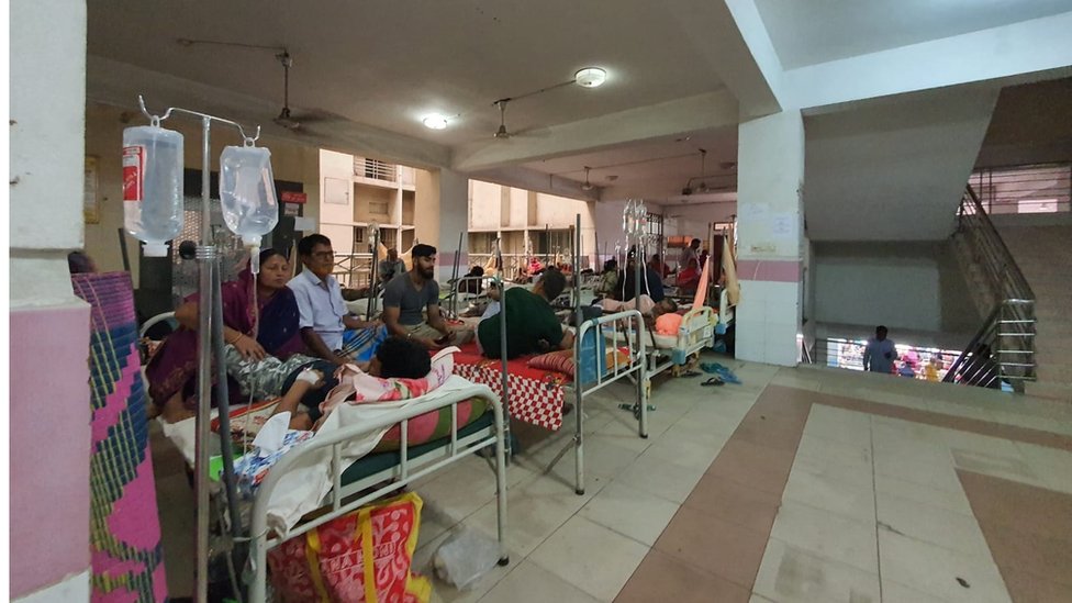 ডেঙ্গু আক্রান্তদের অনেকেই জানেন না যে ঠিক কিভাবে ডেঙ্গুতে আক্রান্ত হয়েছেন তারা ডেঙ্গু আক্রান্তদের অনেকেই জানেন না যে ঠিক কিভাবে ডেঙ্গুতে আক্রান্ত হয়েছেন তারা
