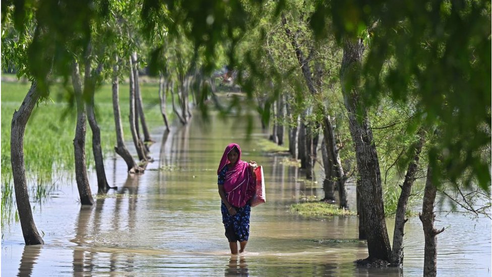 ঘূর্ণিঝড়ের কারণে পটুয়াখালীর কলাপাড়ার এই সড়কে পানি উঠে ডুবে গেছে।
