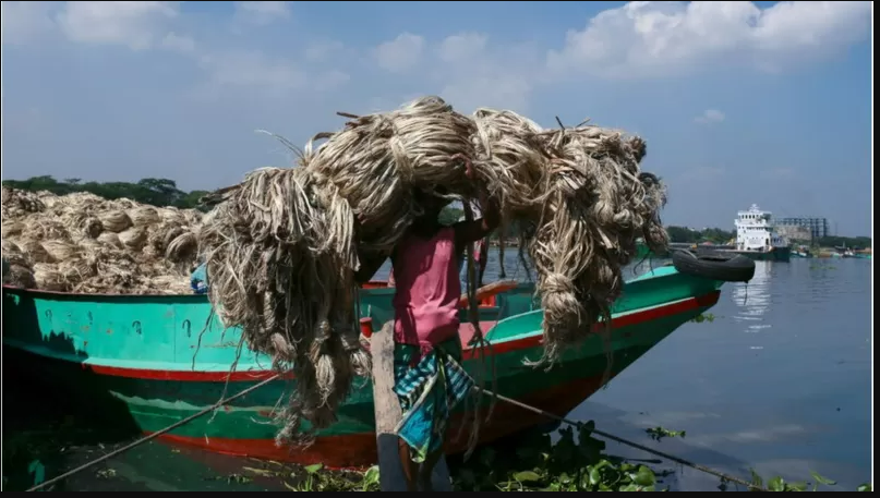 পাটচাষী পাটচাষী