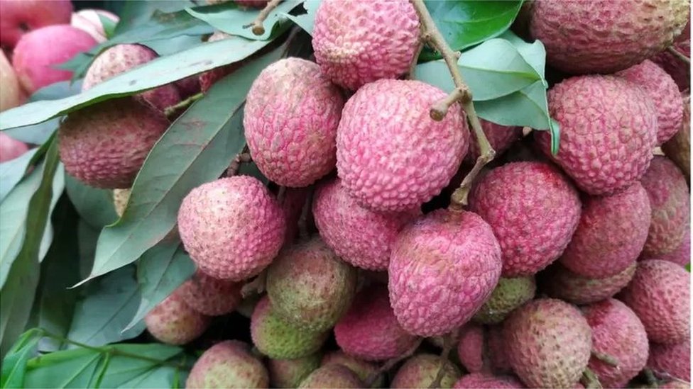লিচু