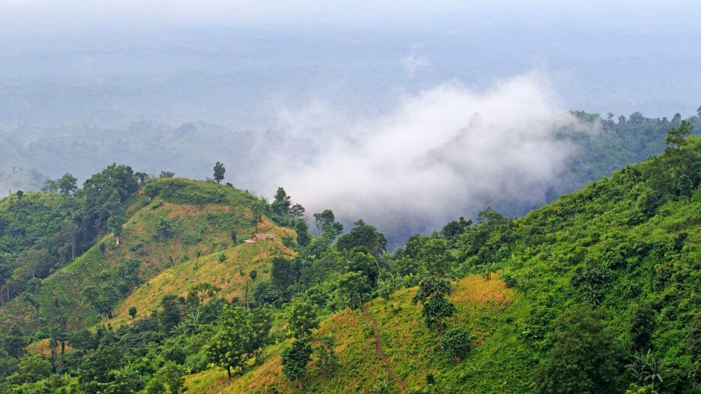বান্দরবানের পাহাড় - জঙ্গল