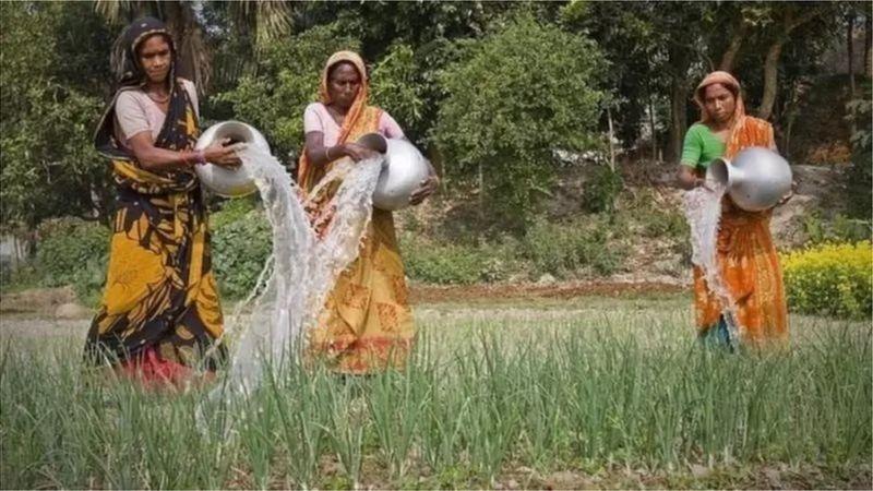 কৃষিজাত পণ্য প্রক্রিয়াকরণকে বিদেশি বিনিয়োগের জন্য অন্যতম সম্ভাবনাময় খাত চিহ্নিত করা হয়েছে