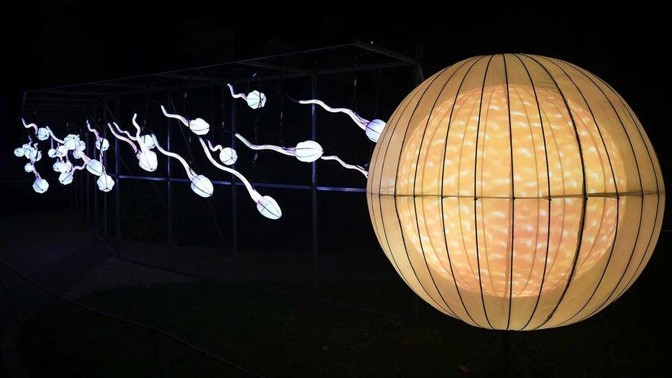 সারাবিশ্বেই পুরুষদের শরীরে শুক্রাণুর সংখ্যা কমে যাচ্ছে সারাবিশ্বেই পুরুষদের শরীরে শুক্রাণুর সংখ্যা কমে যাচ্ছে