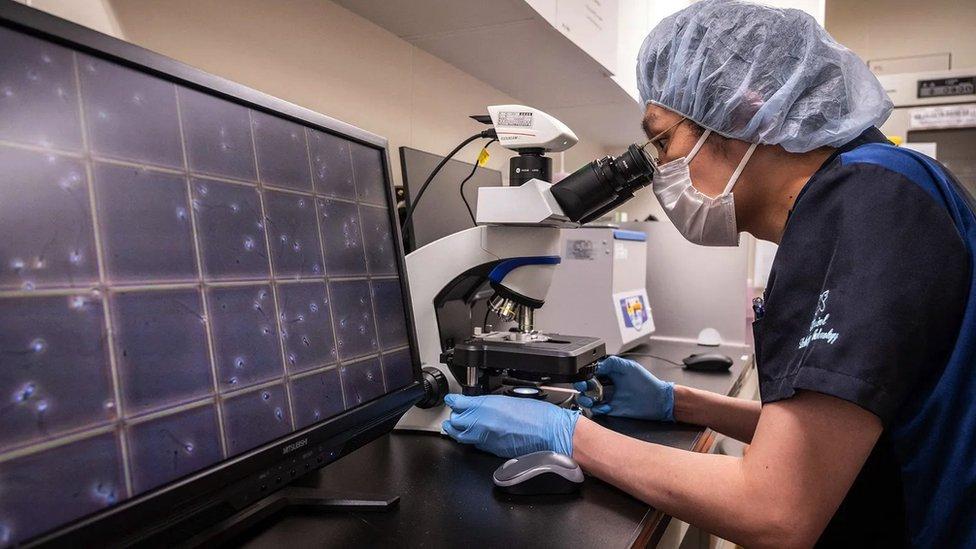 দূষণের সাথে পুরুষদের স্পার্ম কাউন্ট কমে যাবার সম্পর্ক আছে বলে মনে করেন অনেক বিজ্ঞানী দূষণের সাথে পুরুষদের স্পার্ম কাউন্ট কমে যাবার সম্পর্ক আছে বলে মনে করেন অনেক বিজ্ঞানী