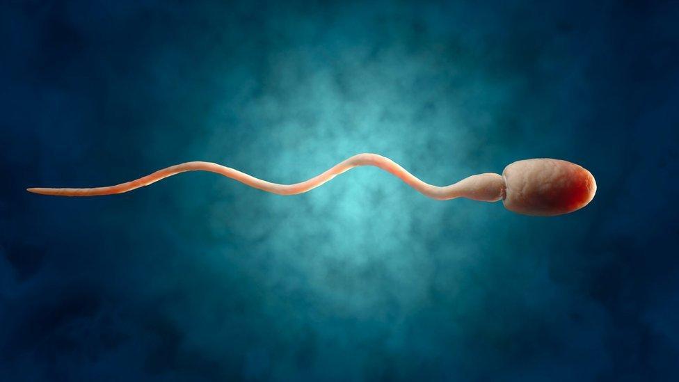 শুক্রাণুর সংখ্যা মিলিলিটারপ্রতি ৪ কোটির কম হলেই অনুর্বরতার সমস্যা শুরু হয় শুক্রাণুর সংখ্যা মিলিলিটারপ্রতি ৪ কোটির কম হলেই অনুর্বরতার সমস্যা শুরু হয়