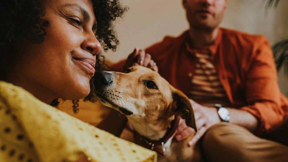 অনুর্বরতার সাথে দূষণের সম্পর্ক অনুসন্ধান করতে গৃহপালিত কুকুরের ওপর পরীক্ষা চালিয়েছেন বিজ্ঞানীরা অনুর্বরতার সাথে দূষণের সম্পর্ক অনুসন্ধান করতে গৃহপালিত কুকুরের ওপর পরীক্ষা চালিয়েছেন বিজ্ঞানীরা